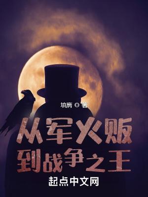 从军火贩到战争之王txt