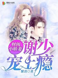 财阀小娇妻谢少宠妻成瘾