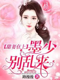 甜宠盛婚娇妻迷人