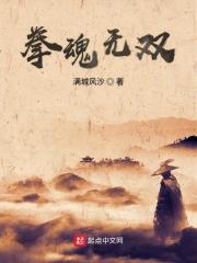 拳意无双