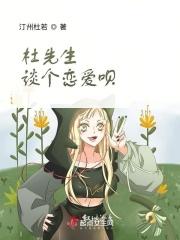 杜先生什么境界