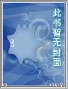 猛虎再上山高清