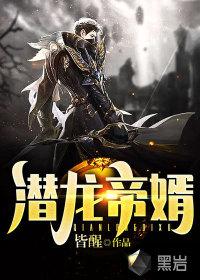 潜龙熬婿