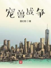 宠兽争斗大秘境攻略