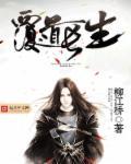 神婿林浩免费全文阅读