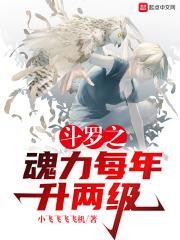 斗罗之魂力每年升两级txt