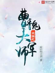 岳风杨淑萱全部目录