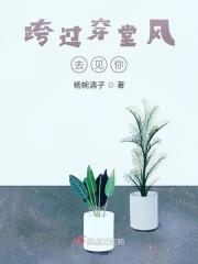 跨过飞航穿过弄堂