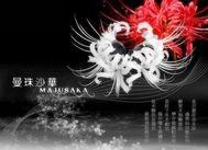 画墨如初