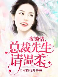 剧名叫一夜锁情