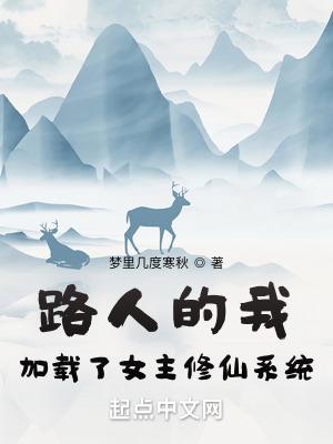 路人女配修仙作者萧祈歌