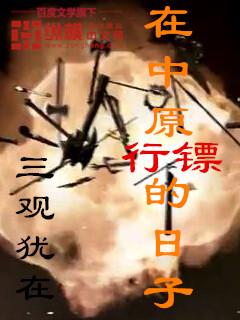 在中原行镖的日子秦三观