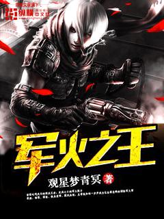 军火之王免费
