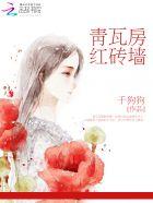 青瓦红墙房子