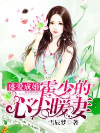 盛爱成婚 霍少的心尖宠全文阅读