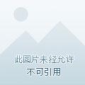 弹剑听禅最新作品