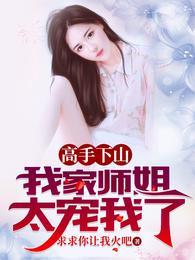 叶北辰九十九位师傅的免费阅读完整版