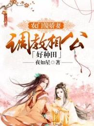 农门傻妻相公太腹黑