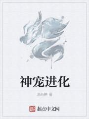 神宠进化等级