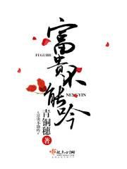 富贵不能吟写的什么