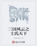 风云三国之凤舞天下