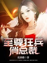 至尊狂神全文阅读总裁
