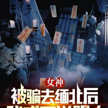 女神被骗去缅北后