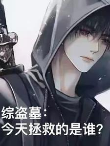 综盗墓无cp