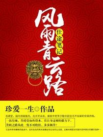仕途青云全本