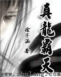 真龙霸业视频
