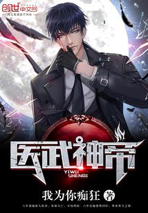 医武帝婿免费无弹窗