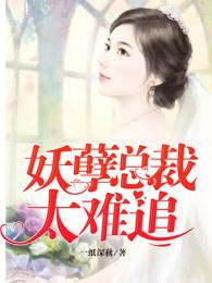妖孽总裁 独宠小太太