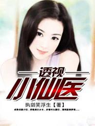 透视小仙医陆寒秦慕烟