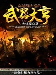 穿越大秦的武器大亨txt