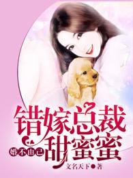 婚不由己嫁给你免费阅读
