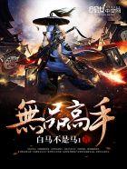 无品的官衔可是大到了极点
