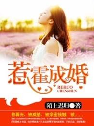 惹霍成婚全文免费阅读 百度184