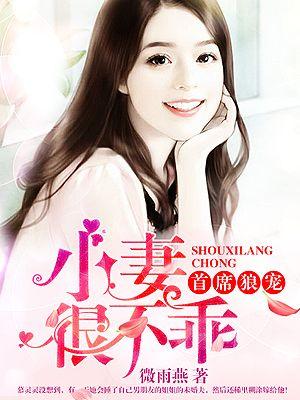 首席独宠小懒妻