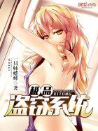 极品盗贼txt
