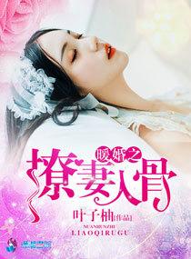 暖婚甜入骨免费