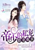 帝少的私宠娇妻