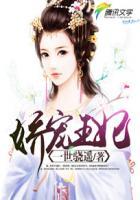 娇宠王妃从天降萌宝开始