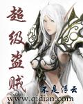 超级盗贼 全集