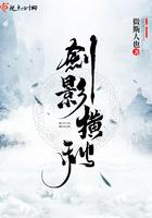 剑影横秋书评