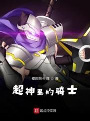 超级骑士简介