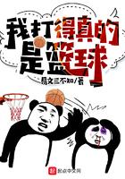 我打的真的是篮球