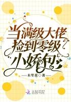 当满级大佬努力