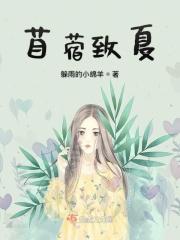 苜蓿什么意思?
