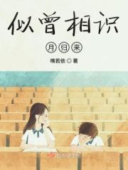 似曾相识月归来白玦玉玦