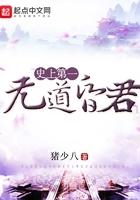 史上第一昏君爱与愁免费阅读